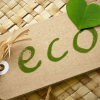 Eco & Bio