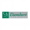 Damhert