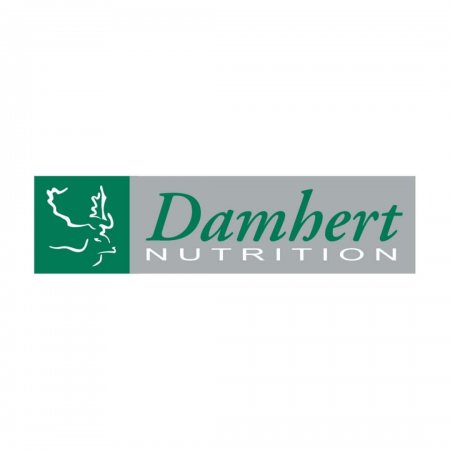Damhert