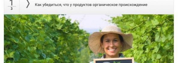 Par mums raksta delfi.lv